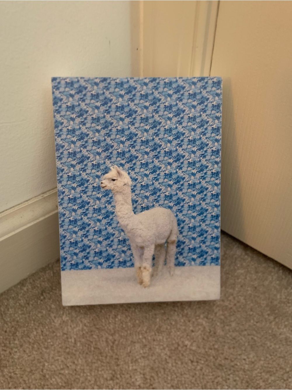 NWT Blue Floral Alpaca Wall Art